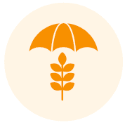 icon4.png
